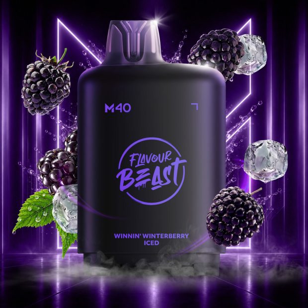 LEVEL X M40 160K WINNIN’ WINTERBERRY ICE 20MG