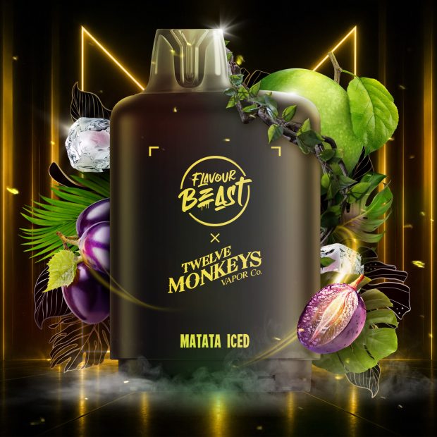 LEVEL X M40 160K TWELVE MONKEYS MATATA ICE 20MG
