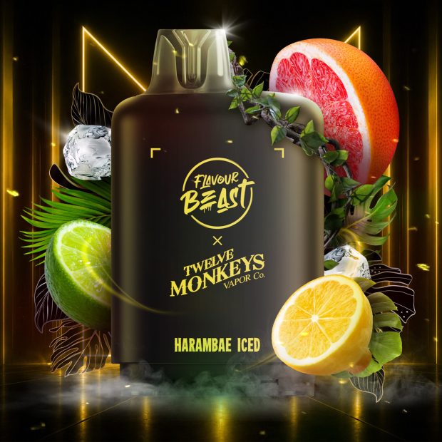LEVEL X M40 160K TWELVE MONKEYS HARAMABAE ICE 20MG